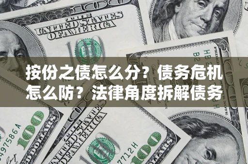 武汉按份之债怎么分？债务危机怎么防？法律角度拆解债务分配与风险自保指南