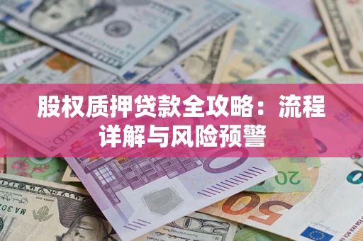武汉股权质押贷款全攻略：流程详解与风险预警