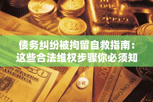武汉债务纠纷被拘留自救指南：这些合法维权步骤你必须知道！