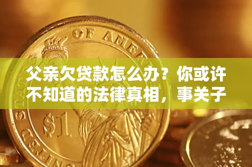 武汉父亲欠贷款怎么办？你或许不知道的法律真相，事关子女未来
