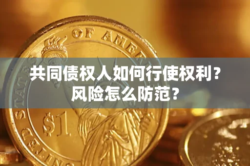 武汉共同债权人如何行使权利？风险怎么防范？