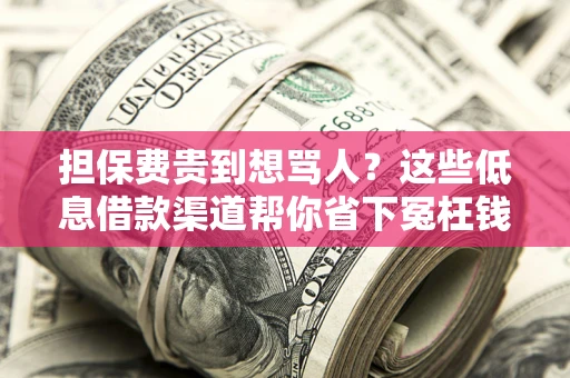 武汉担保费贵到想骂人？这些低息借款渠道帮你省下冤枉钱