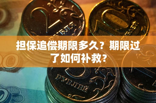 武汉担保追偿期限多久？期限过了如何补救？
