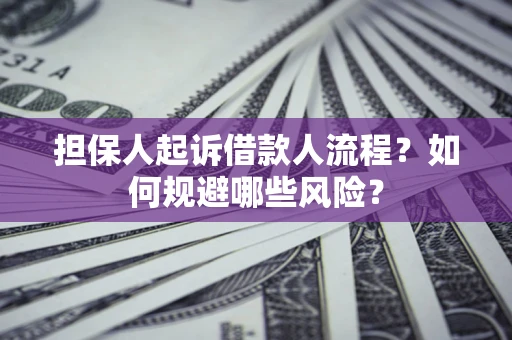 武汉担保人起诉借款人流程？如何规避哪些风险？