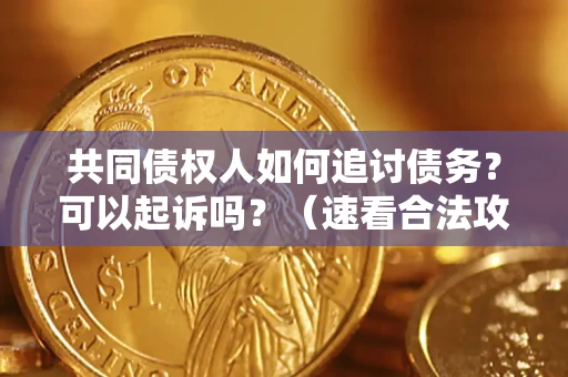 武汉共同债权人如何追讨债务？可以起诉吗？（速看合法攻略）