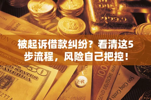 武汉被起诉借款纠纷？看清这5步流程，风险自己把控！
