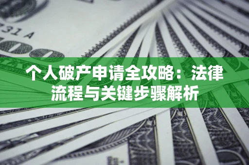 武汉个人破产申请全攻略：法律流程与关键步骤解析