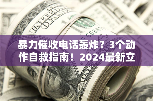 武汉暴力催收电话轰炸？3个动作自救指南！2024最新立案标准全解析